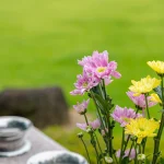 疎遠な親の死亡連絡が来ない！適切な対処法、相続手続きについて解説