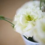 相続税が安くなる！葬儀費用の控除方法