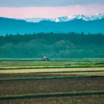 【専門家が解説】農地贈与の手続きと税金｜納税猶予で損しないための完全ガイド