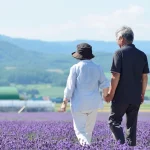 生前贈与～相続税対策の基本を押さえて家族を守ろう！