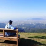 独身の方必見！相続を失敗しないための相続・相続対策ガイド